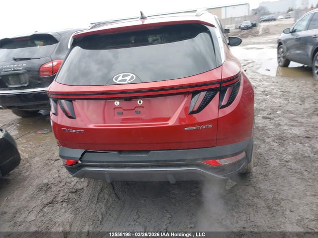 KM8JCCA13NU055056 Hyundai Tucson