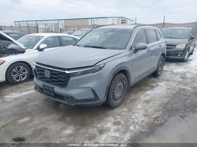 2HKRS4H52RH101162 Honda CR-V