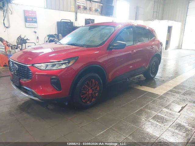 Aukcja sprzedaży 2025 Ford Escape Active, vin: 1FMCU9GN5SUB61376, numer aukcji: 12558212