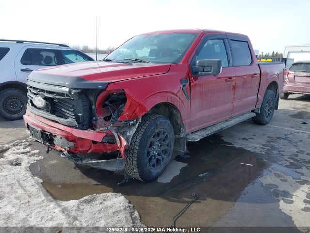 1FTFW3L88RKD84185 Ford F-150 Xlt
