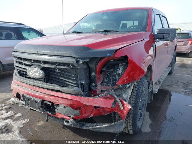 1FTFW3L88RKD84185 Ford F-150 Xlt
