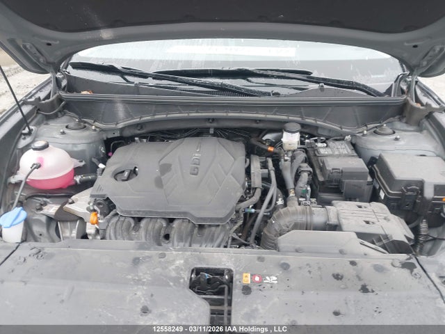 2025 Hyundai Tucson Sel მანქანა იყიდება აუქციონზე, vin: 5NMJBCDE4SH532134, აუქციონის ნომერი: 12558249