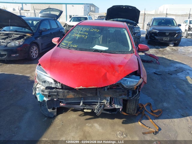 12558299 :رقم المزاد ، 2T1BURHE7KC244593 vin ، 2019 Toyota Corolla L/le/xle/se/xse مزاد بيع