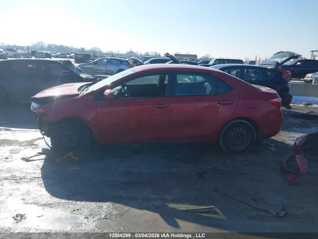 12558299 :رقم المزاد ، 2T1BURHE7KC244593 vin ، 2019 Toyota Corolla L/le/xle/se/xse مزاد بيع