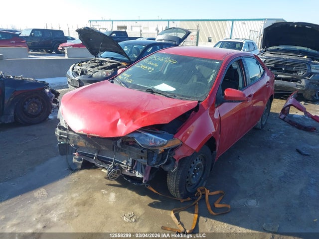12558299 :رقم المزاد ، 2T1BURHE7KC244593 vin ، 2019 Toyota Corolla L/le/xle/se/xse مزاد بيع