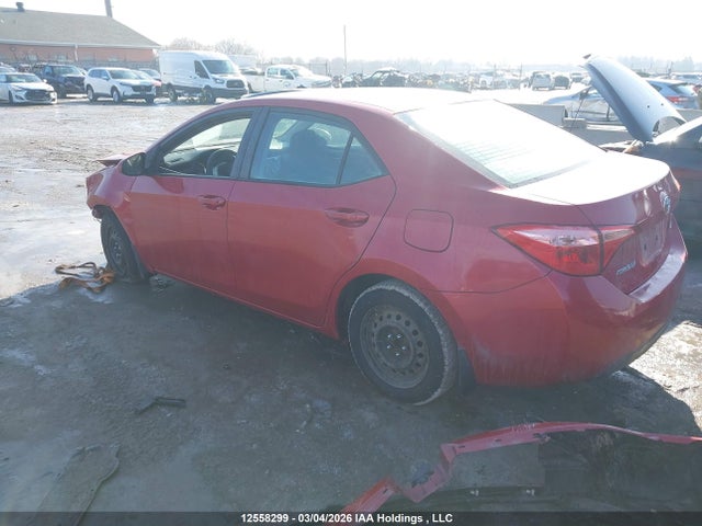 12558299 :رقم المزاد ، 2T1BURHE7KC244593 vin ، 2019 Toyota Corolla L/le/xle/se/xse مزاد بيع