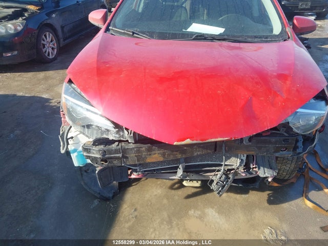 12558299 :رقم المزاد ، 2T1BURHE7KC244593 vin ، 2019 Toyota Corolla L/le/xle/se/xse مزاد بيع