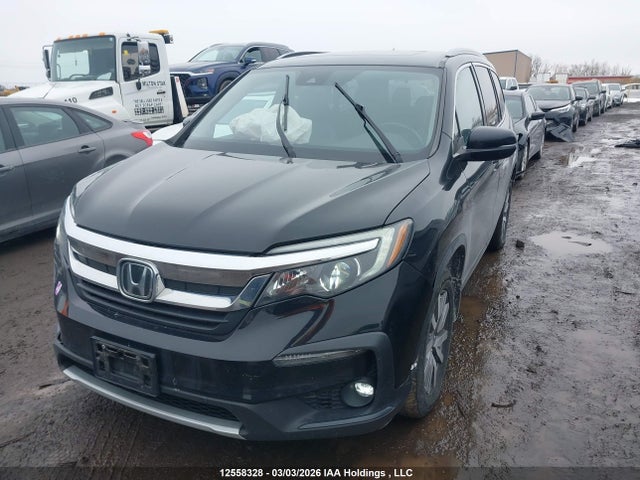 5FNYF6H73MB506645 Honda Pilot