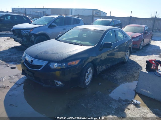 Продажа на аукционе авто 2011 Acura Tsx Premium/technology Package, vin: JH4CU2F65BC800558, номер лота: 12558338