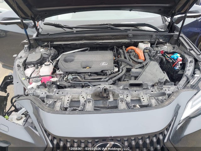 Auction sale of the 2025 Lexus Nx Nx 350h, vin: 2T2GKCEZ4SC047151, lot number: 12558361