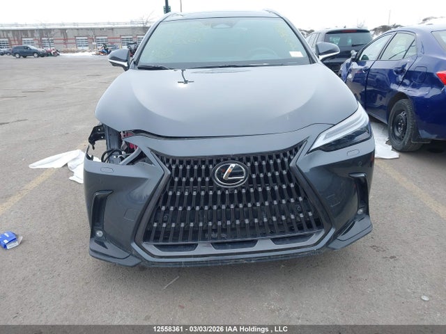 Auction sale of the 2025 Lexus Nx Nx 350h, vin: 2T2GKCEZ4SC047151, lot number: 12558361
