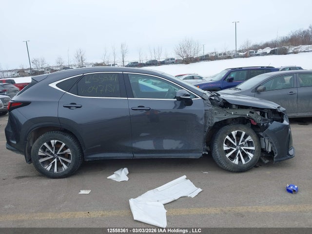 Auction sale of the 2025 Lexus Nx Nx 350h, vin: 2T2GKCEZ4SC047151, lot number: 12558361