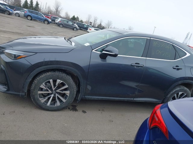 Auction sale of the 2025 Lexus Nx Nx 350h, vin: 2T2GKCEZ4SC047151, lot number: 12558361