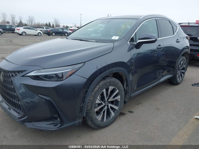 Auction sale of the 2025 Lexus Nx Nx 350h, vin: 2T2GKCEZ4SC047151, lot number: 12558361