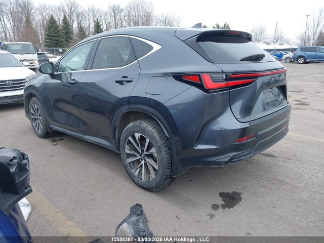 Auction sale of the 2025 Lexus Nx Nx 350h, vin: 2T2GKCEZ4SC047151, lot number: 12558361