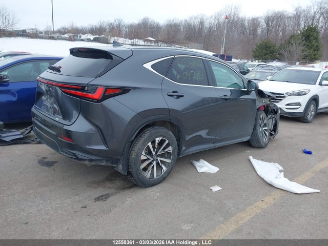 Auction sale of the 2025 Lexus Nx Nx 350h, vin: 2T2GKCEZ4SC047151, lot number: 12558361