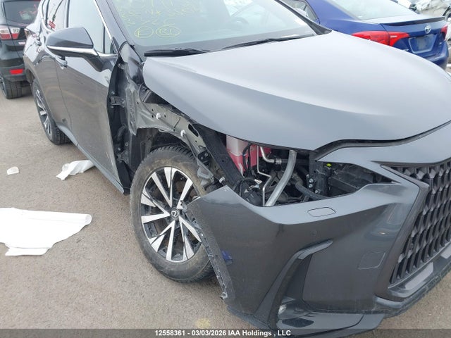 Auction sale of the 2025 Lexus Nx Nx 350h, vin: 2T2GKCEZ4SC047151, lot number: 12558361