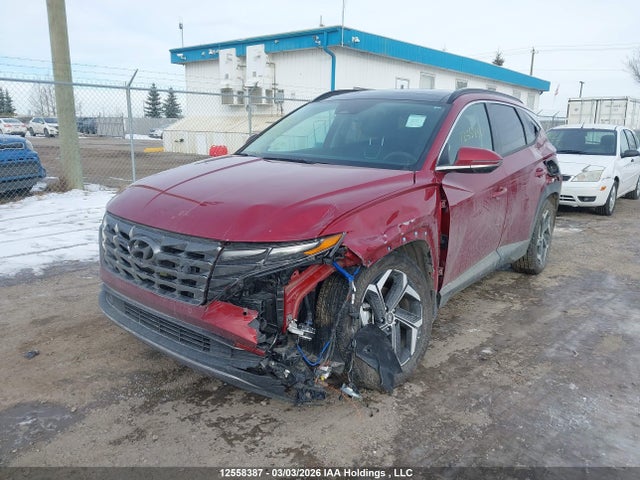 KM8JDDD2XRU207556 Hyundai Tucson Ultimate