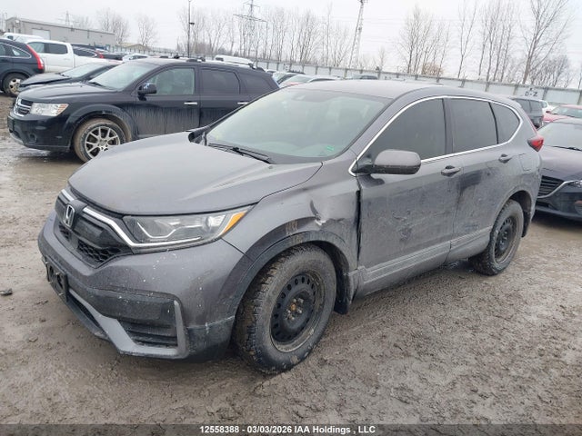 2HKRW1H25LH002903 Honda CR-V LX