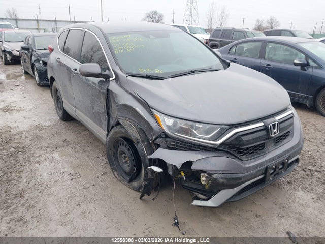 2HKRW1H25LH002903 Honda CR-V LX