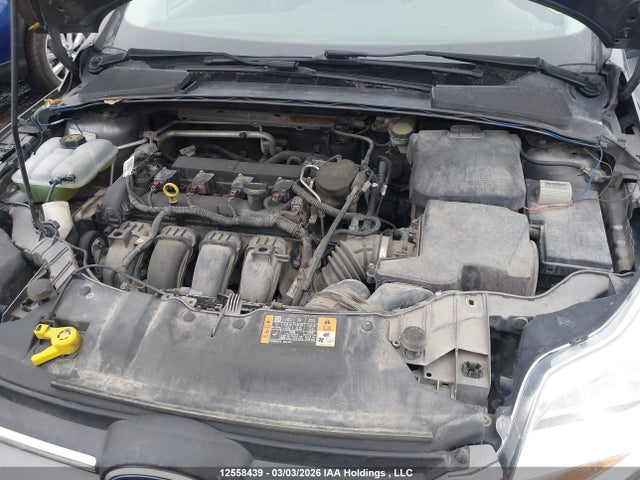 Aukcja sprzedaży 2014 Ford Focus Se, vin: 1FADP3F26EL331829, numer aukcji: 12558439