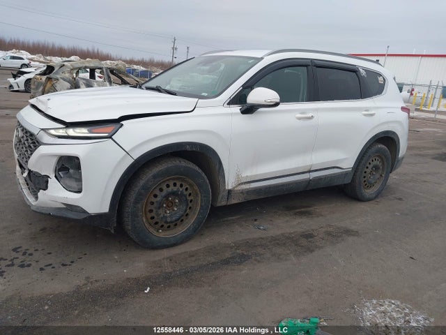 Продажа на аукционе авто 2019 Hyundai Santa Fe Preferred 2.4, vin: 5NMS3CAD2KH081279, номер лота: 12558446
