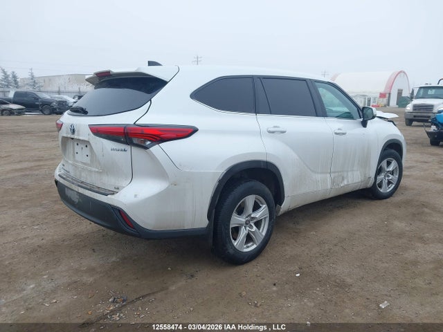 2023 Toyota Highlander Hybrid Hybrid მანქანა იყიდება აუქციონზე, vin: 5TDBBRCH1PS120678, აუქციონის ნომერი: 12558474