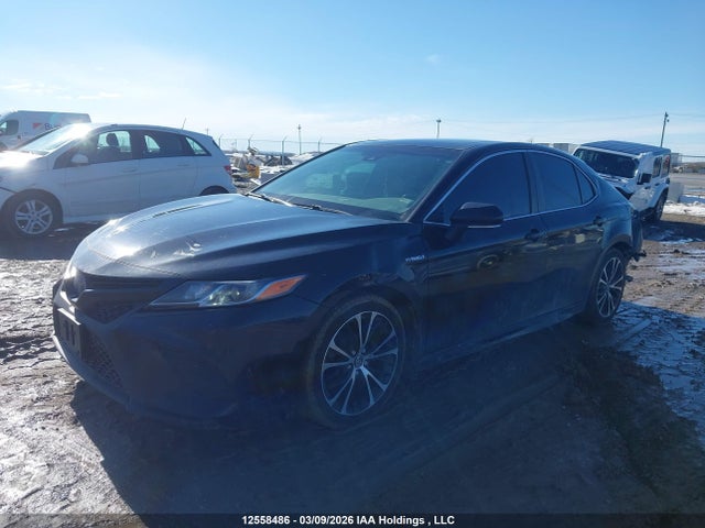 12558486 :رقم المزاد ، 4T1B21HK4JU507441 vin ، 2018 Toyota Camry Hybrid Se مزاد بيع