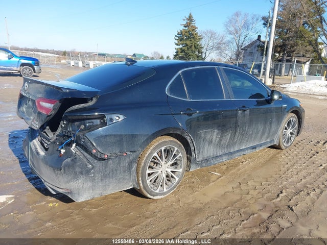 12558486 :رقم المزاد ، 4T1B21HK4JU507441 vin ، 2018 Toyota Camry Hybrid Se مزاد بيع