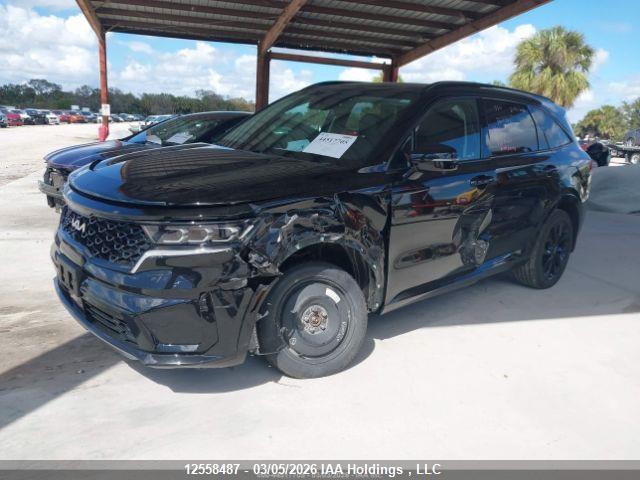 Aukcja sprzedaży 2023 Kia Sorento Sx/sxp, vin: 5XYRKDLF7PF223939, numer aukcji: 12558487