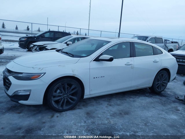 12558494 :رقم المزاد ، 1G1ZD5ST9PF231513 vin ، 2023 Chevrolet Malibu 1lt مزاد بيع
