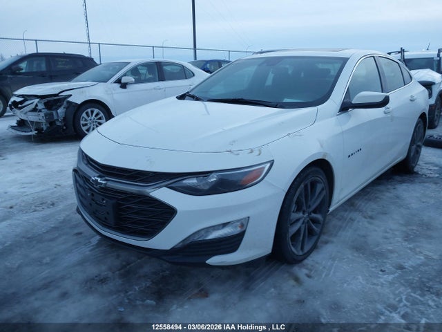 12558494 :رقم المزاد ، 1G1ZD5ST9PF231513 vin ، 2023 Chevrolet Malibu 1lt مزاد بيع