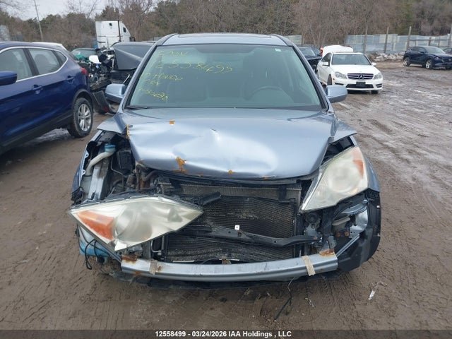 Aukcja sprzedaży 2010 Honda Cr-v Ex-l, vin: 5J6RE4H71AL804318, numer aukcji: 12558499