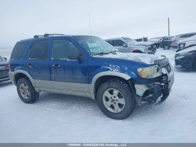 Aukcja sprzedaży 2007 Ford Escape Xlt, vin: 1FMYU931X7KA32173, numer aukcji: 12558560