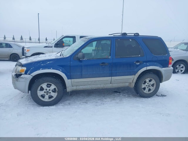 Aukcja sprzedaży 2007 Ford Escape Xlt, vin: 1FMYU931X7KA32173, numer aukcji: 12558560