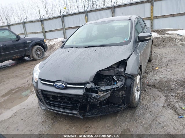 12558608 :رقم المزاد ، 1FAHP3F22CL137345 vin ، 2012 Ford Focus مزاد بيع