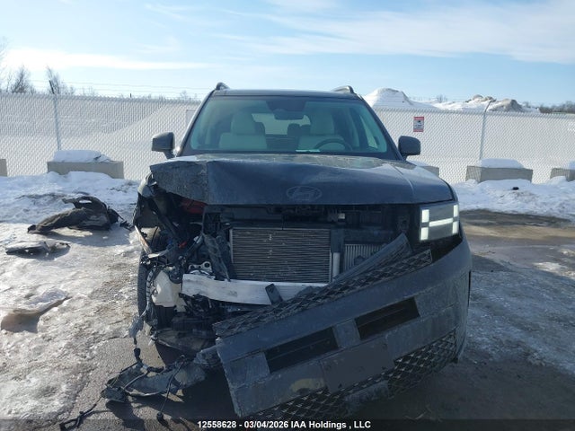 12558628 :رقم المزاد ، 5NMP5DGL0SH082175 vin ، 2025 Hyundai Santa Fe مزاد بيع