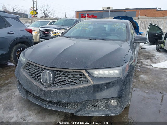 19UUB1F86JA800913 Acura Tlx Elite A-spec
