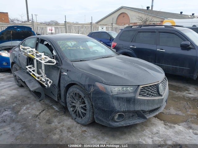 19UUB1F86JA800913 Acura Tlx Elite A-spec