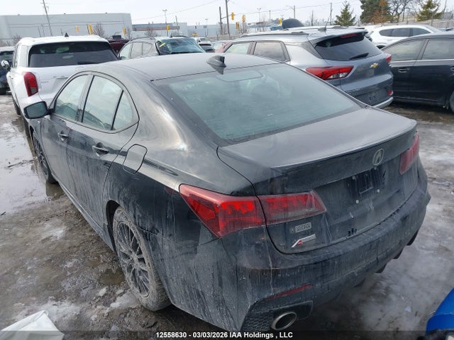 19UUB1F86JA800913 Acura Tlx Elite A-spec