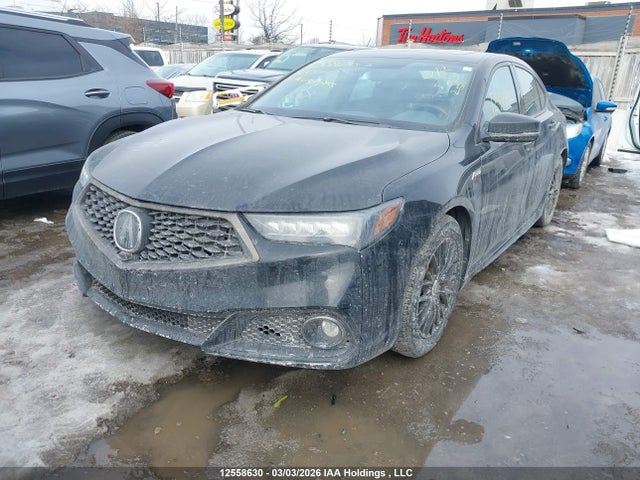 19UUB1F86JA800913 Acura Tlx Elite A-spec