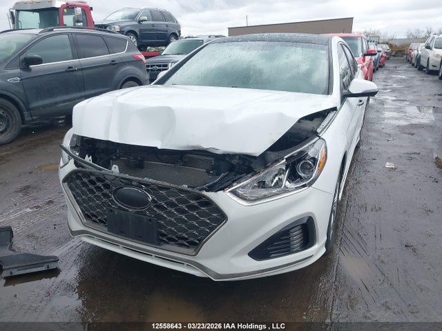 5NPE34AF8JH685733 Hyundai Sonata Sport/limited/sel