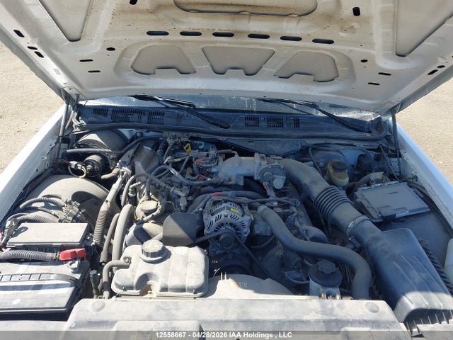 12558667 :رقم المزاد ، 2FAHP71V19X132836 vin ، 2009 Ford Crown Victoria Police Interceptor مزاد بيع