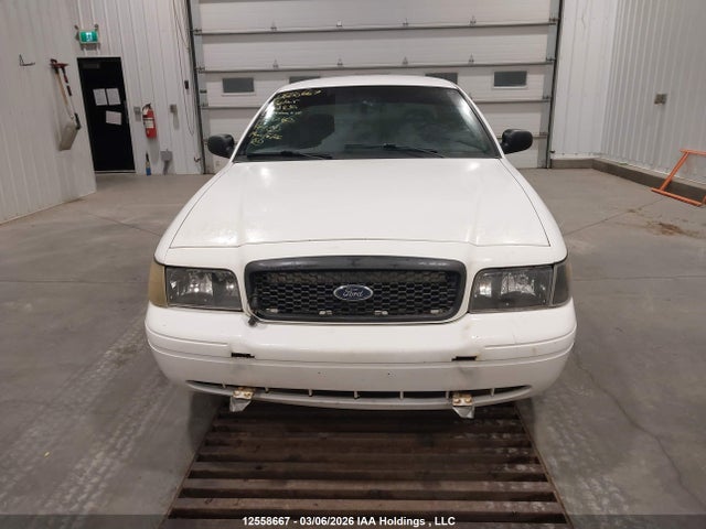 12558667 :رقم المزاد ، 2FAHP71V19X132836 vin ، 2009 Ford Crown Victoria Police Interceptor مزاد بيع
