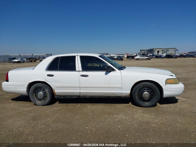 12558667 :رقم المزاد ، 2FAHP71V19X132836 vin ، 2009 Ford Crown Victoria Police Interceptor مزاد بيع