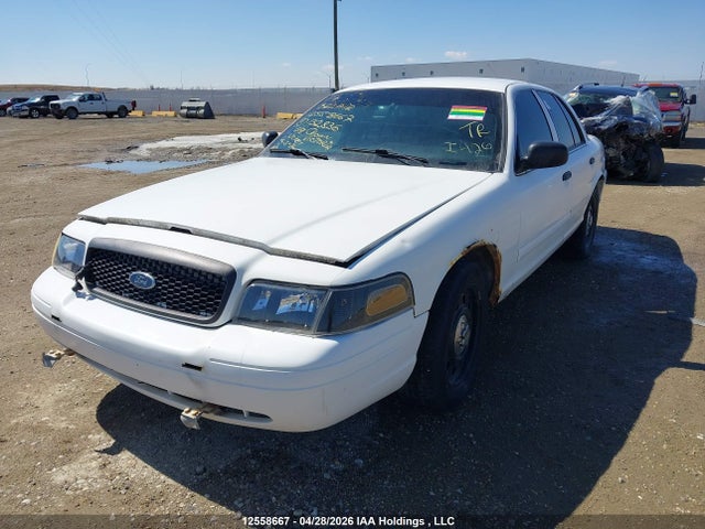 12558667 :رقم المزاد ، 2FAHP71V19X132836 vin ، 2009 Ford Crown Victoria Police Interceptor مزاد بيع