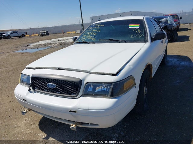 12558667 :رقم المزاد ، 2FAHP71V19X132836 vin ، 2009 Ford Crown Victoria Police Interceptor مزاد بيع
