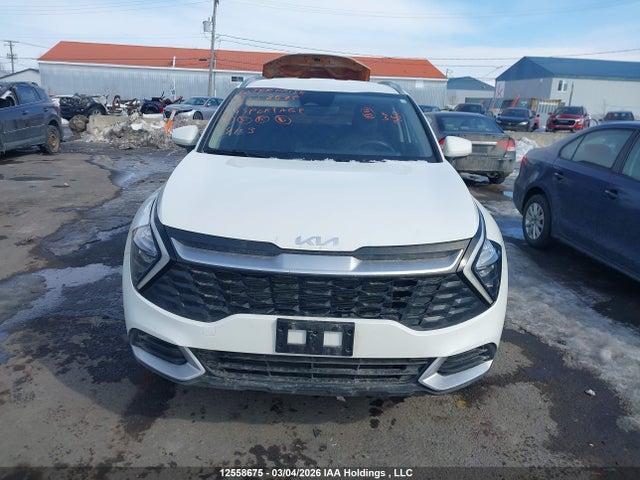 Aukcja sprzedaży 2024 Kia Sportage Lx, vin: KNDPUCDF1R7281605, numer aukcji: 12558675