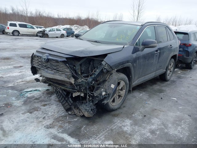 Aukcja sprzedaży 2019 Toyota Rav4 Xle, vin: 2T3R1RFVXKW039656, numer aukcji: 12558698