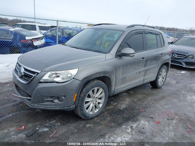 Продажа на аукционе авто 2009 Volkswagen Tiguan, vin: WVGBV75N79W000395, номер лота: 12558706
